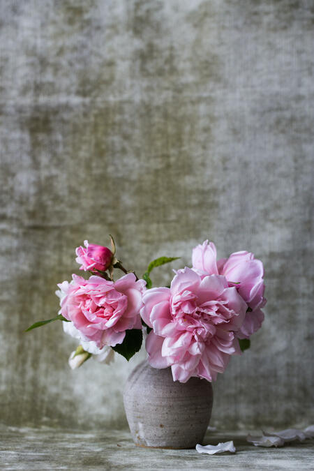 Photo by Alex Seinet via Unsplash